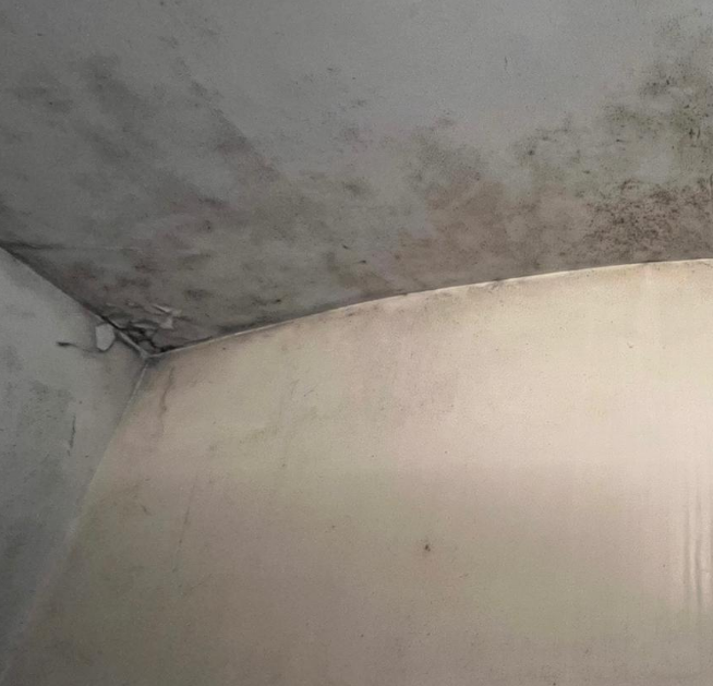 Tribune décembre 2025